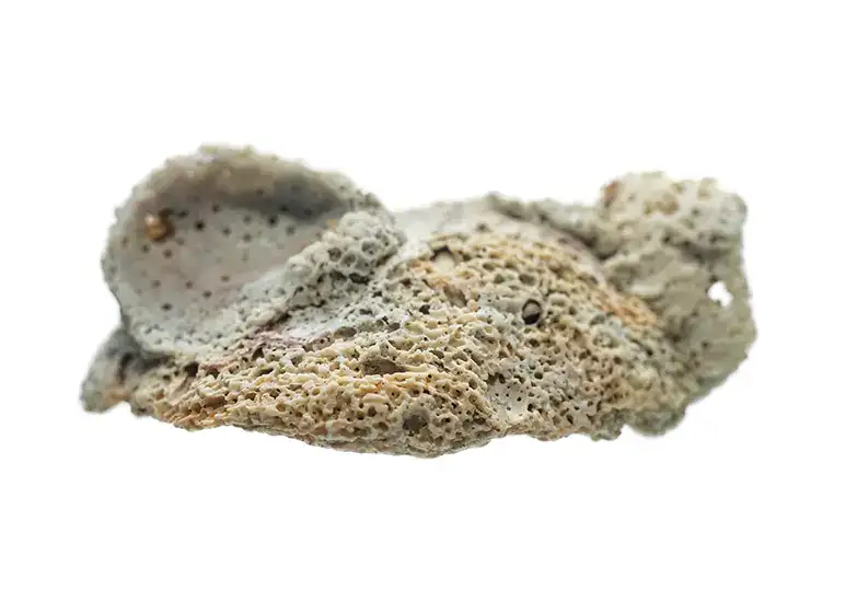 RADIOCARBON
